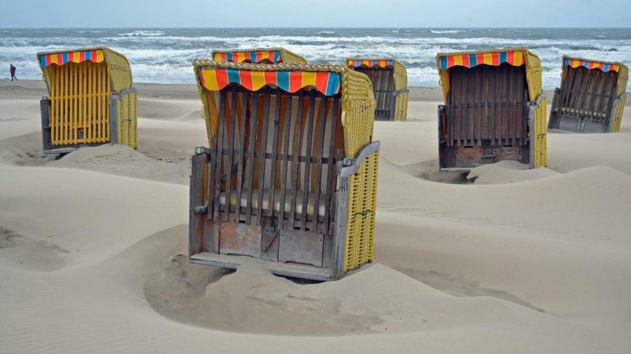 Zeesterflat 117 Egmond aan Zee Εξωτερικό φωτογραφία